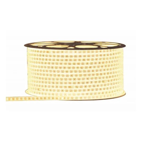 baytonia_main product photo