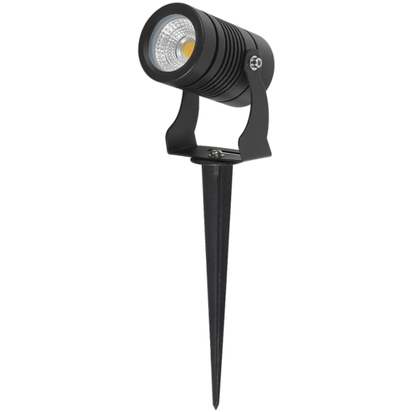 baytonia_main product photo