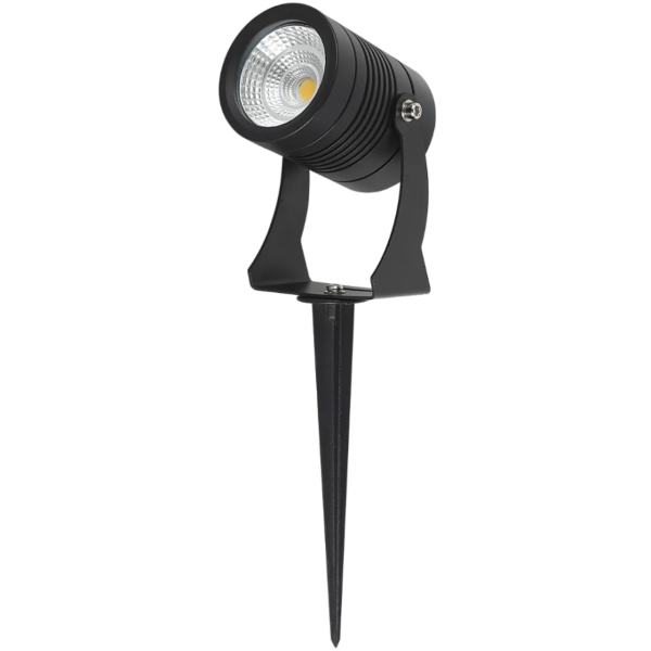 baytonia_main product photo