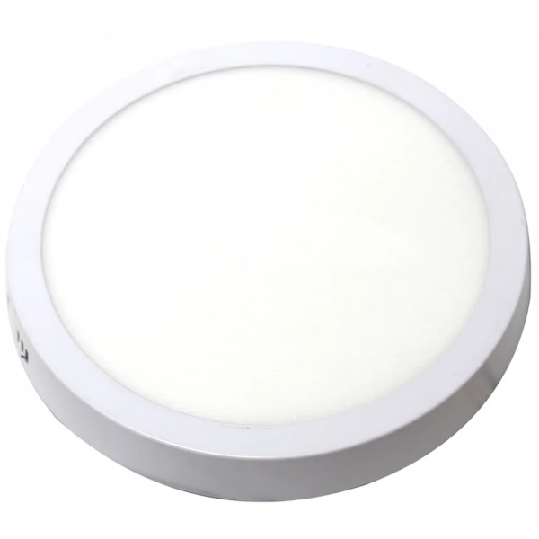 baytonia_main product photo