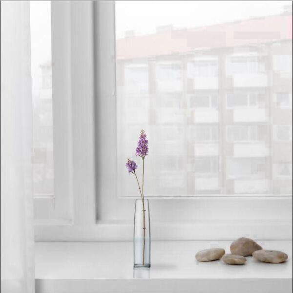 baytonia_main product photo