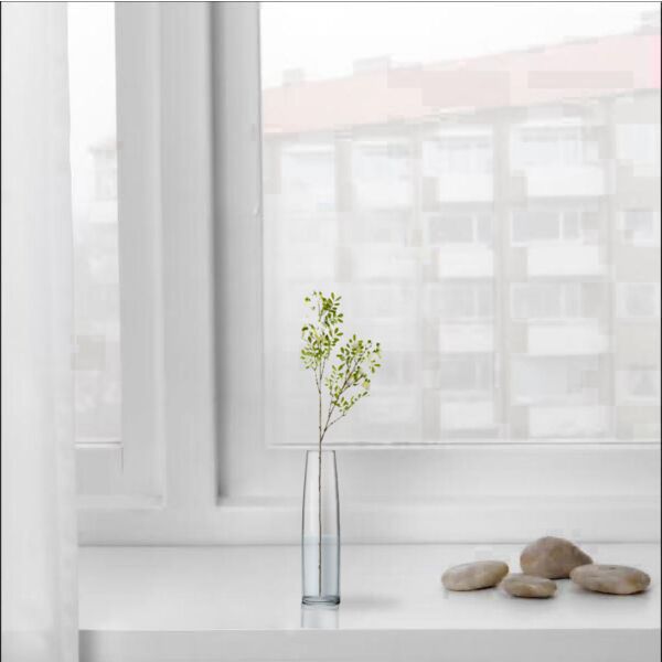baytonia_main product photo