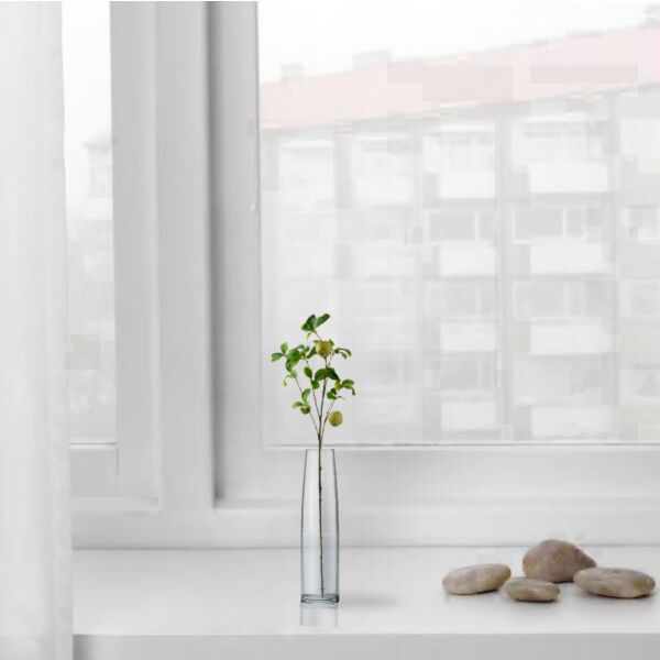 baytonia_main product photo