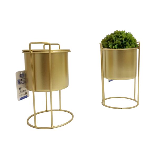 baytonia_main product photo