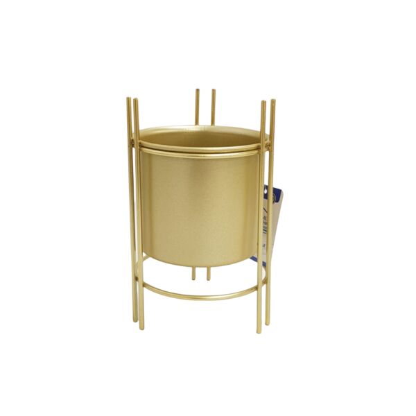 baytonia_main product photo