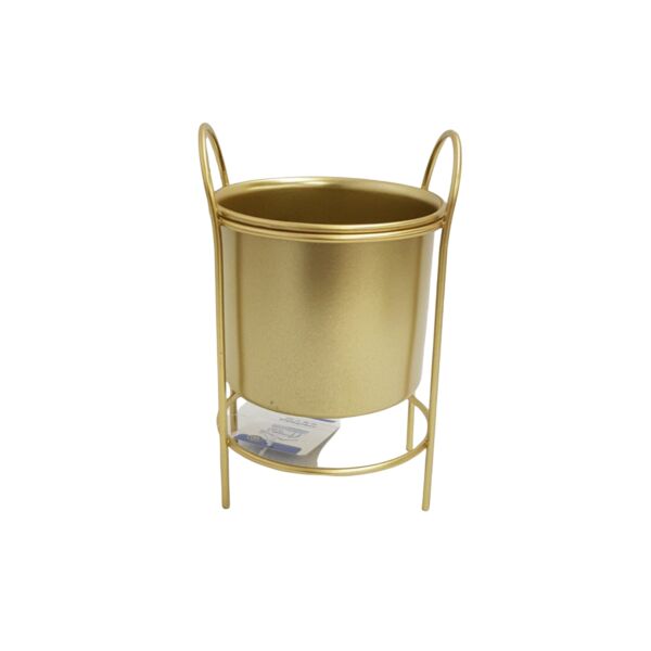 baytonia_main product photo