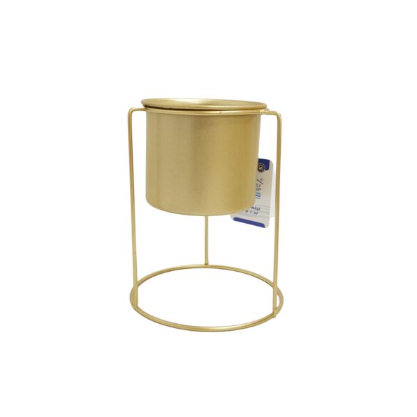 baytonia_main product photo