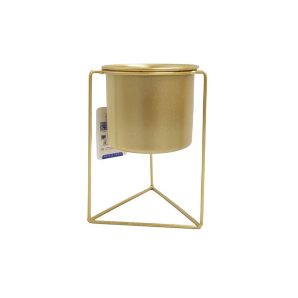 baytonia_main product photo
