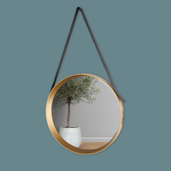 baytonia_main product photo