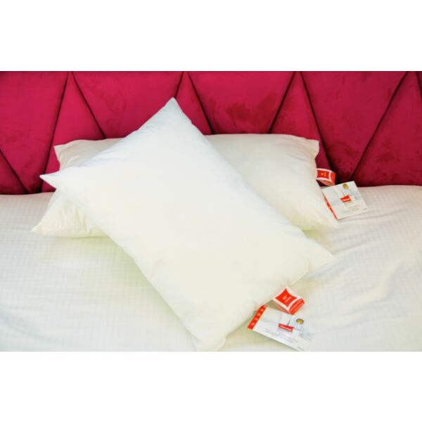 baytonia_main product photo