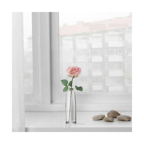 baytonia_main product photo