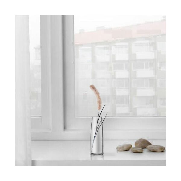 baytonia_main product photo