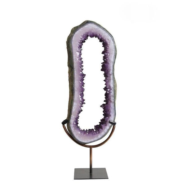 baytonia_main product photo