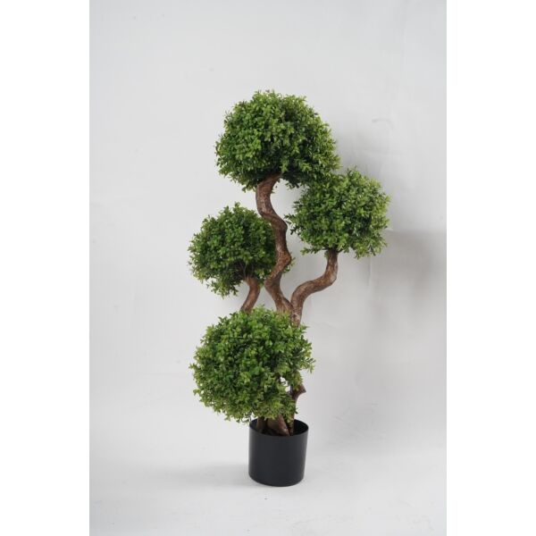 baytonia_main product photo