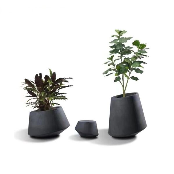 baytonia_main product photo