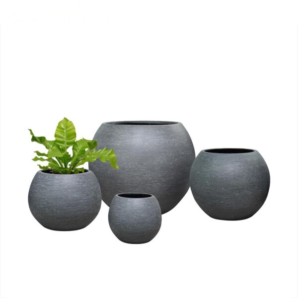 baytonia_main product photo