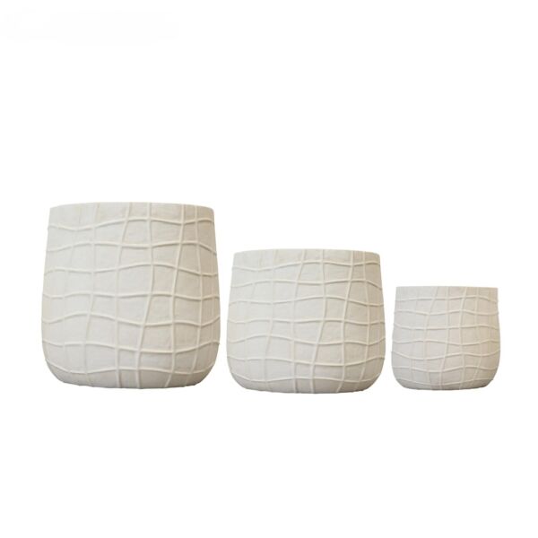 baytonia_main product photo