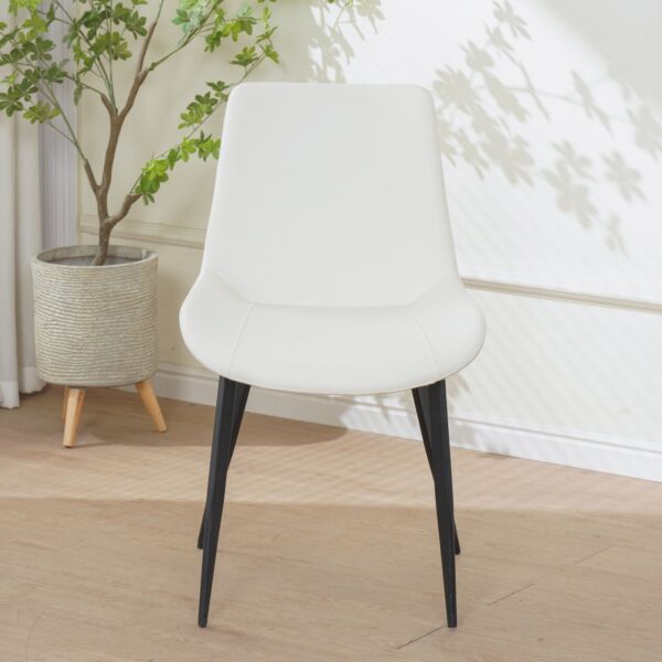baytonia_main product photo