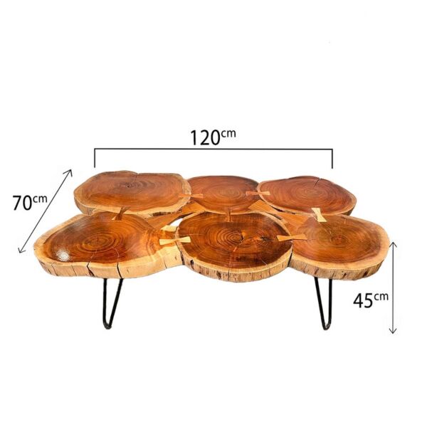 baytonia_main product photo