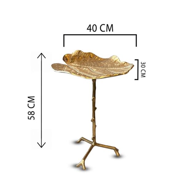 baytonia_main product photo