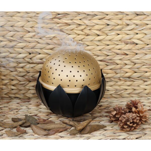 baytonia_main product photo