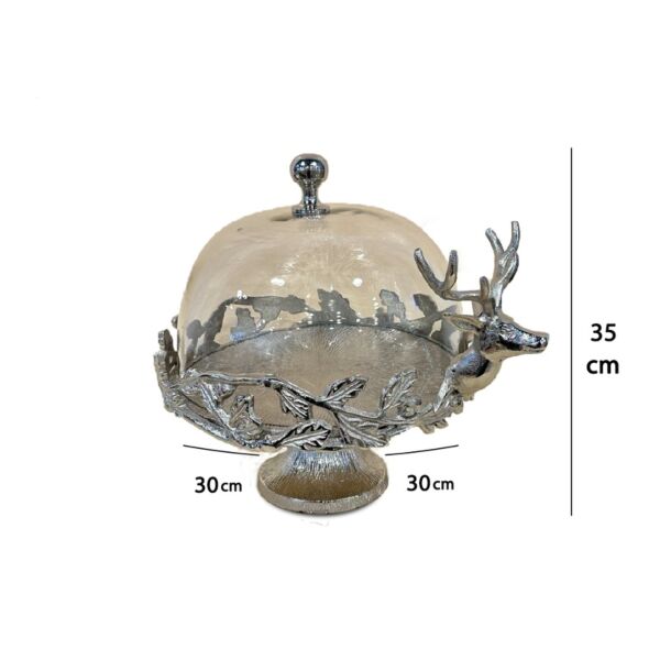 baytonia_main product photo
