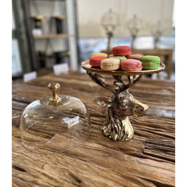 baytonia_main product photo