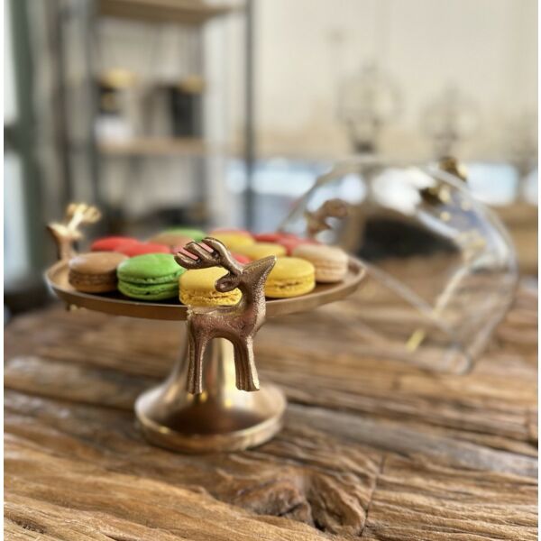 baytonia_main product photo