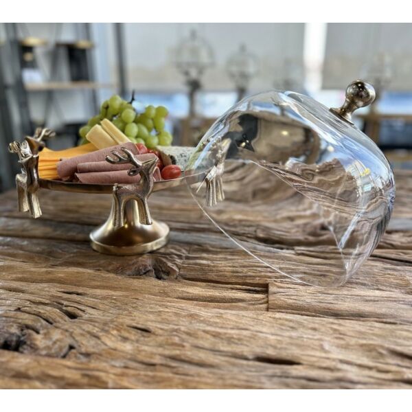 baytonia_main product photo