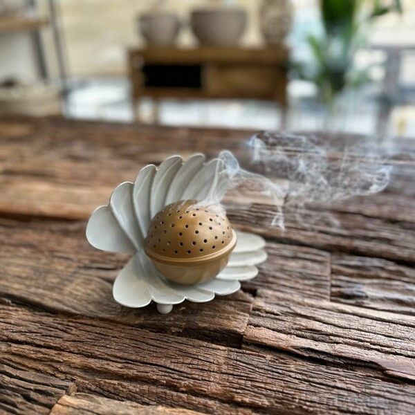 baytonia_main product photo