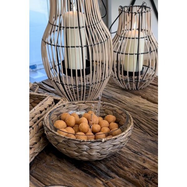 baytonia_main product photo