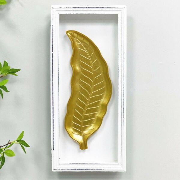 baytonia_main product photo