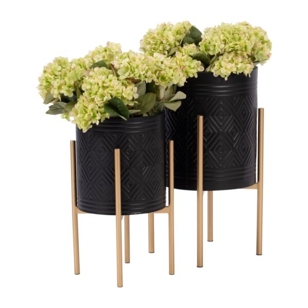 baytonia_main product photo