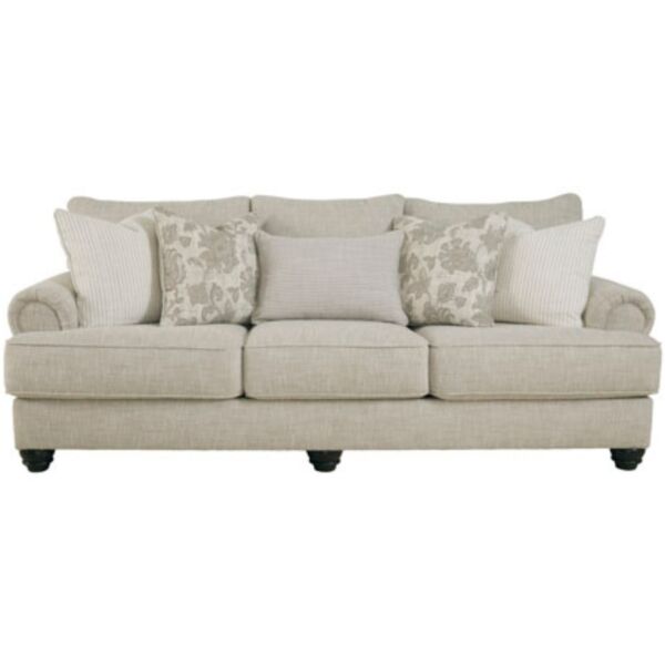 baytonia_main product photo