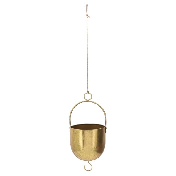 baytonia_main product photo