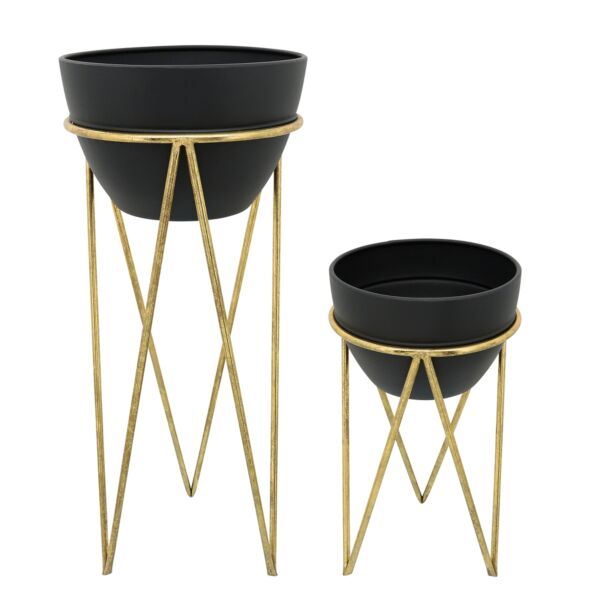 baytonia_main product photo
