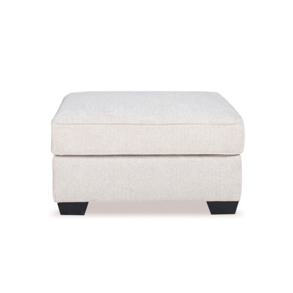 baytonia_main product photo