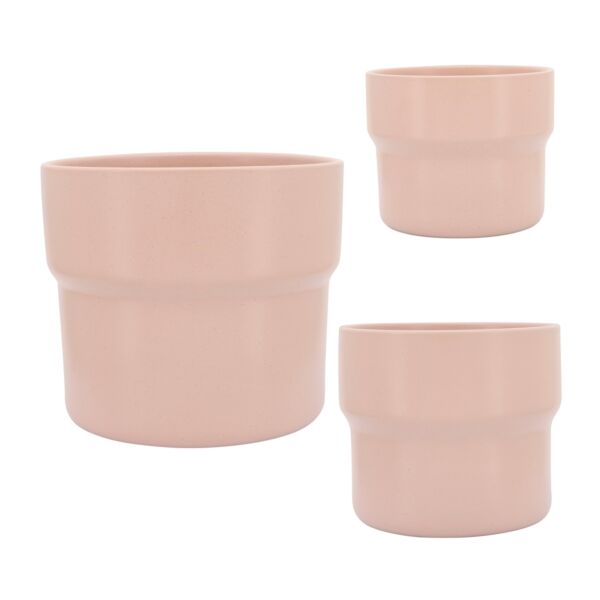 baytonia_main product photo