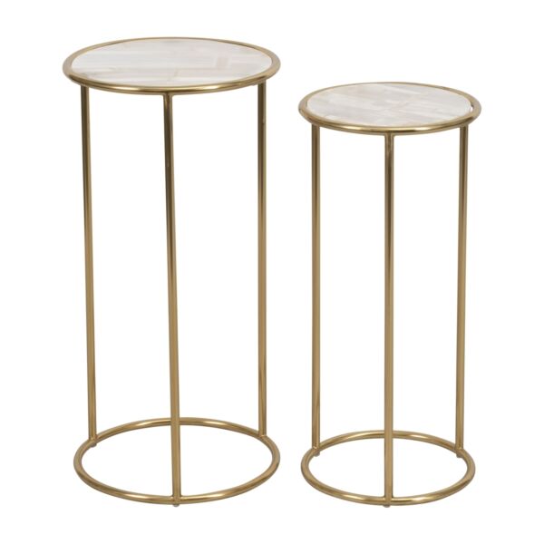 baytonia_main product photo