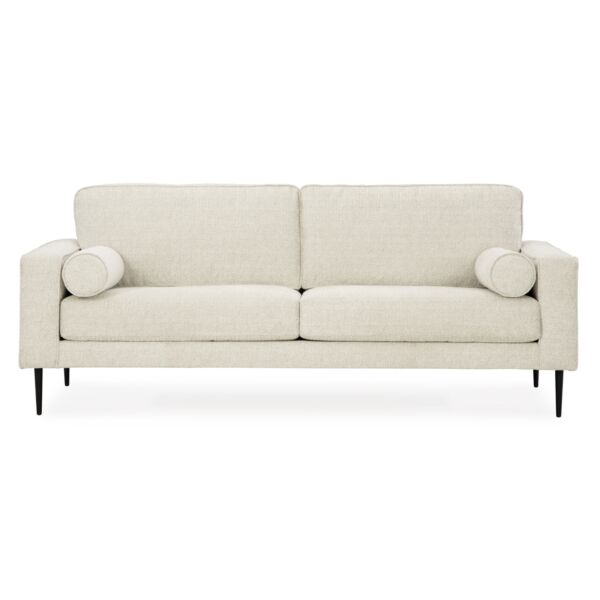 baytonia_main product photo