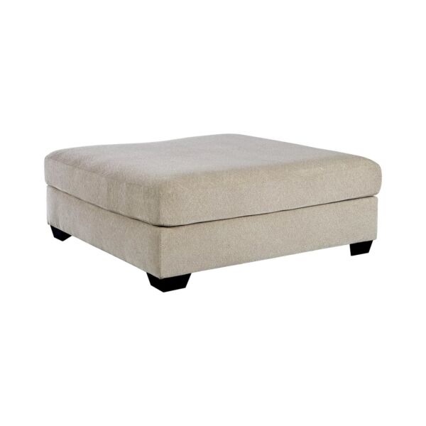 baytonia_main product photo