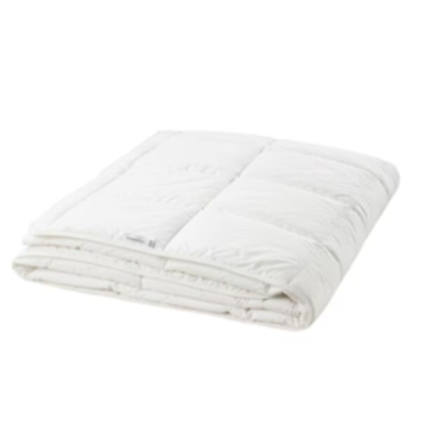 baytonia_main product photo