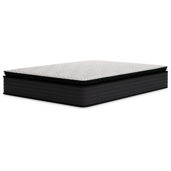 baytonia_main product photo