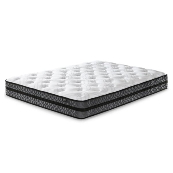 baytonia_main product photo