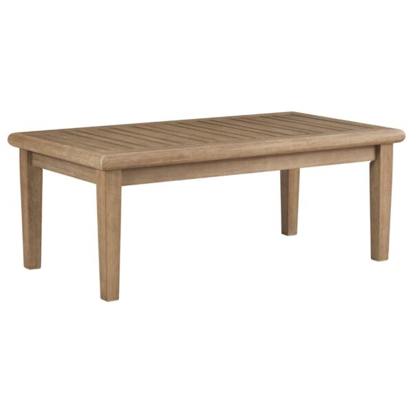 baytonia_main product photo