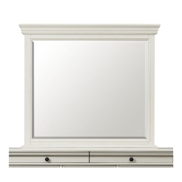 baytonia_main product photo