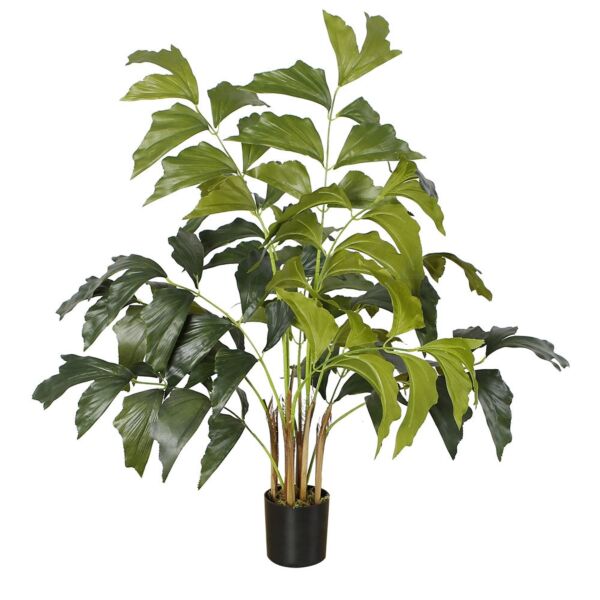 baytonia_main product photo