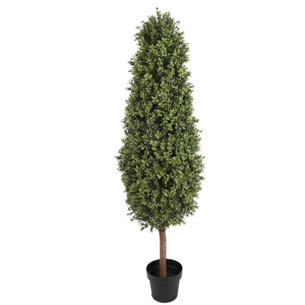 baytonia_main product photo
