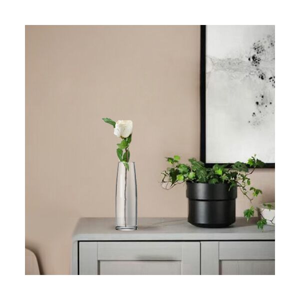 baytonia_main product photo