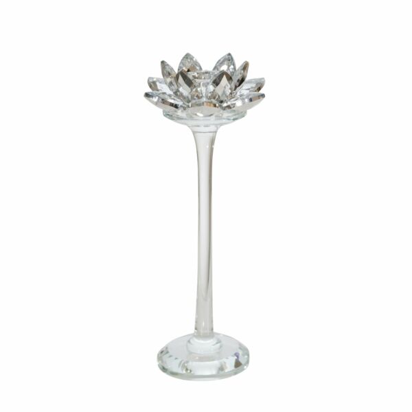 baytonia_main product photo